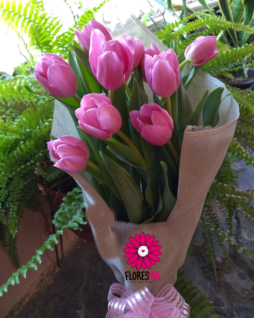 Ramo 10 Tulipanes – Floresma