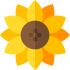 girasol.png